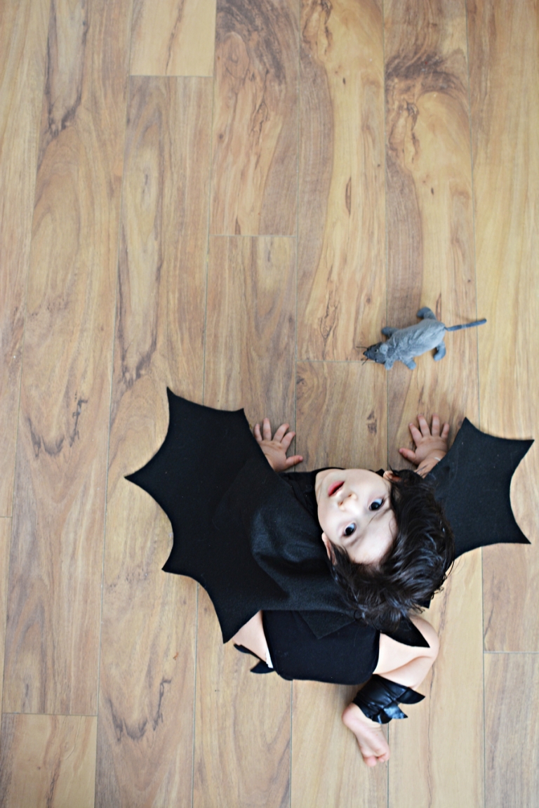 BatWings-Craft-Tutorial