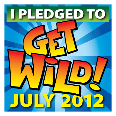 park-rec-month-badge-nrpa-july-2012