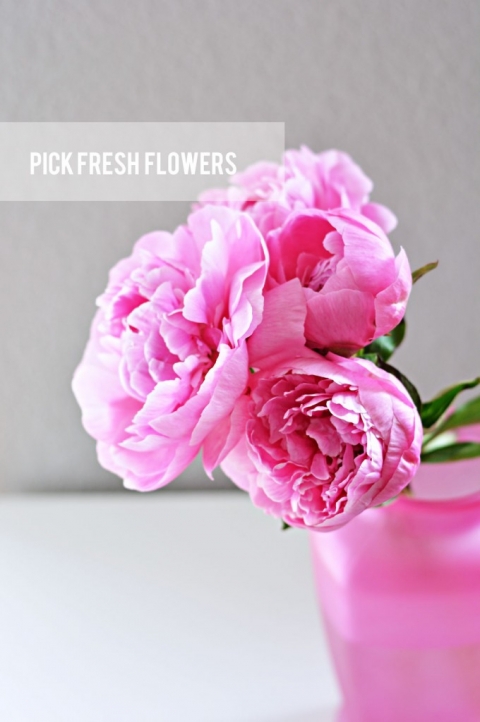 Pick-Fresh-Flowers