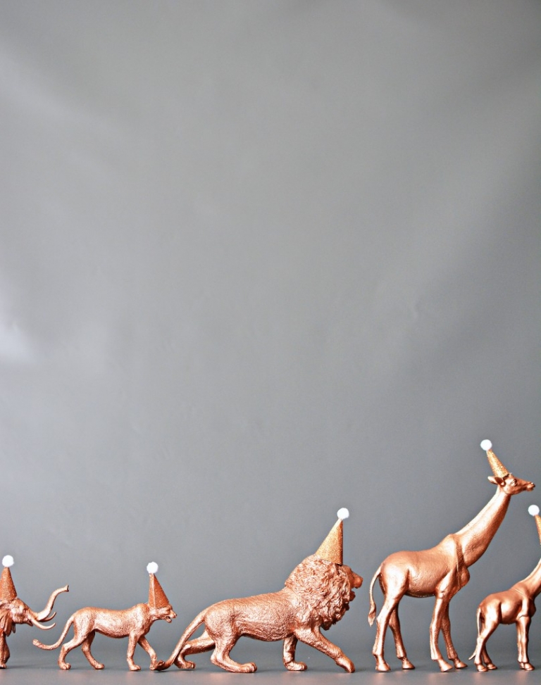 diy-PARTY-ANIMALS