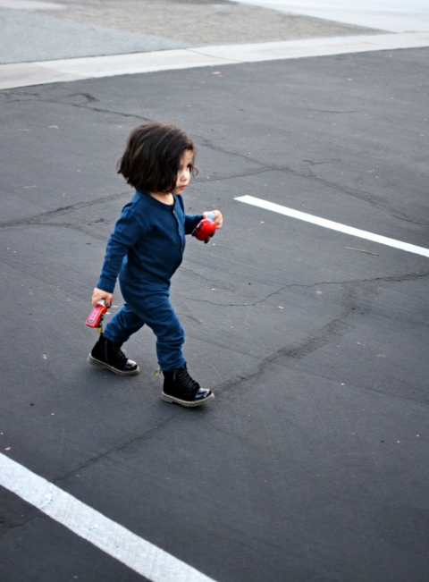 F-_DCIM_100D5200_DSC_0904